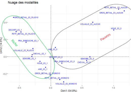 Graphique 6: Nuage des modalités 