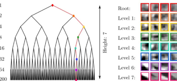 Fig. 3. Illustration of patch subsampling. Instead of extracting all patches, only a subset of patches is extracted either (a) regularly or (b) with some randomizations