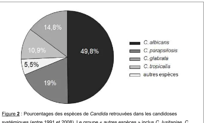 Figure 2 : Pourcentages des espèces de Candida retrouvées dans les candidoses  systémiques (entre 1991 et 2008)