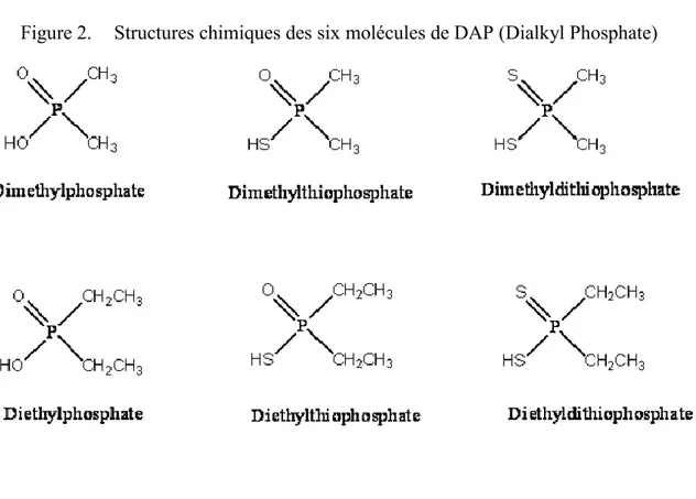 Figure 2.  Structures chimiques des six molécules de DAP (Dialkyl Phosphate)  