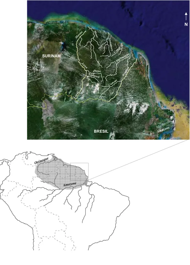 Figure 10. Localisation des Guyanes (en grisé) et aperçu de la Guyane française avec son réseau hydrographique principal