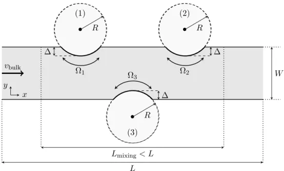 Figure 1 – Schéma du mélangeur RAW (pour rotating arc-walls ) en 2D (le dessin n’est pas à l’échelle).