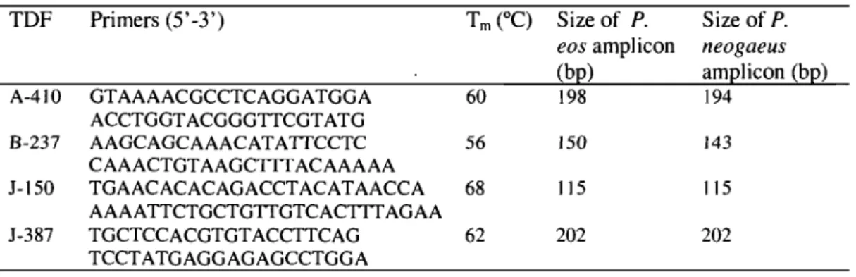 Table II.b  Primers used for assessment of the expression of the Phoxinus eos and the  Phoxinus neogaeus alleles
