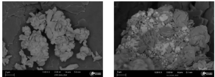 Fig. 1. Two examples of backscattered electron mode SEM images.