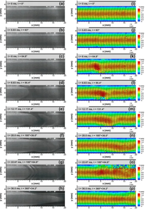 Figure  I.36 :  Images  brutes  et  Champs  moyens  de  vitesse  de  l’écoulement.  Conditions  expérimentales :  = 24 ,  = 30 ,  1  ∙  , tension sinusoïdale [ZOU 11+] 