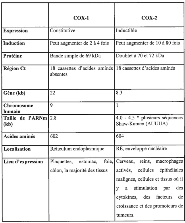 Tableau I Sommaire des différences entre les 2 isoformes de la COX