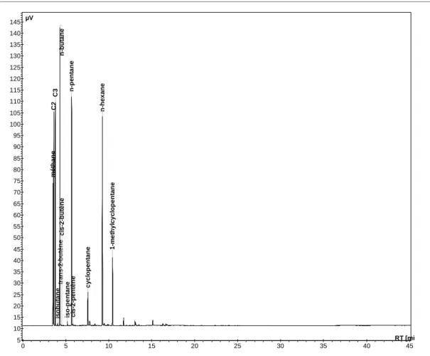 Figure 9. Exemple de chromatogramme obtenu avec la méthode GC-FID. 