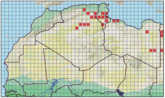 Figure 03 : Répartition géographique des espèces Scincus scincus en Afrique du                               Nord, (TRAPE et al., 2012) 