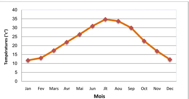 Figure 08: Variation mensuelle de la température moyenne de la région du Souf durant la  période  (2008- 2018)