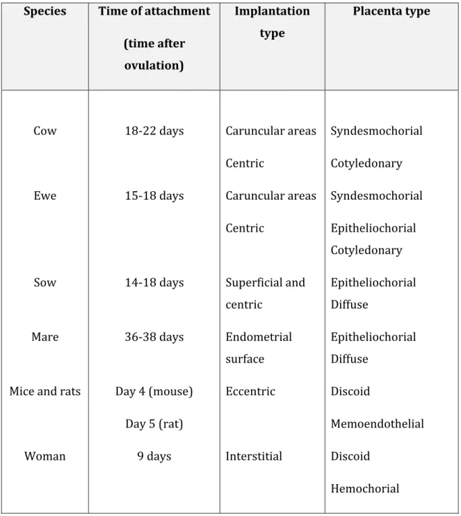Table 2. Different types of placenta, implantation and time of attachment.  