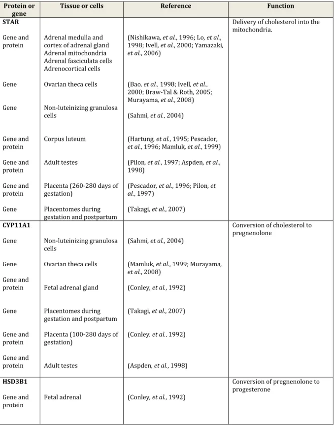 Table 3. Principal steroidogenic proteins and genes expressed in a different  number of bovine tissues and cells
