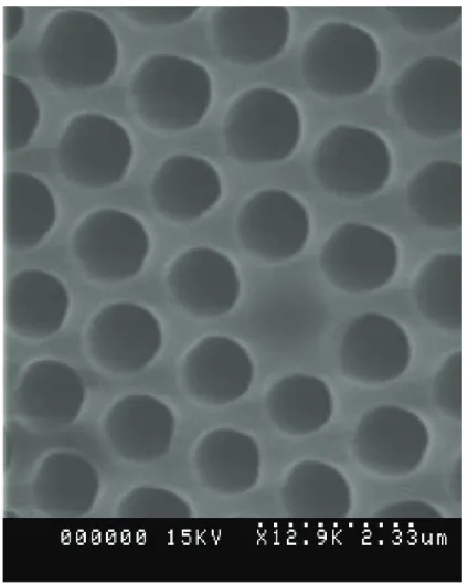 Figure 4.7. Section of a PCF: hexagonal pattern of holes with diameter d = 1.12 μ m and pitch Λ = 1.42 μ m