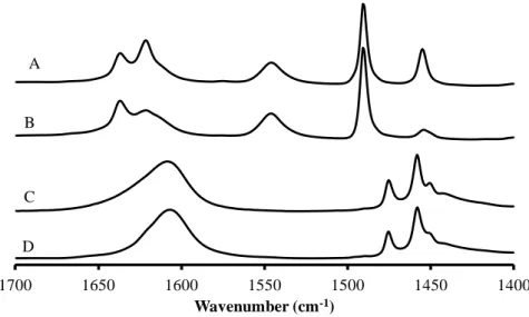 Fig. III.8 1PtHBEA pyridine hydrogenation IR spectra (1400  –  1700cm -1 ). A: after pyridine  adsorption (P H2 = 0 mbar); B: before piperidine formation; C: before vacuum; D: after 