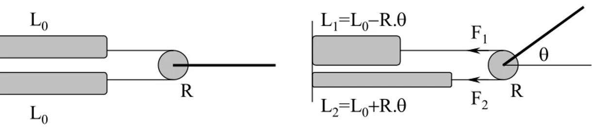 Figure 10 : Représentation schématique du dispositif expérimental. 