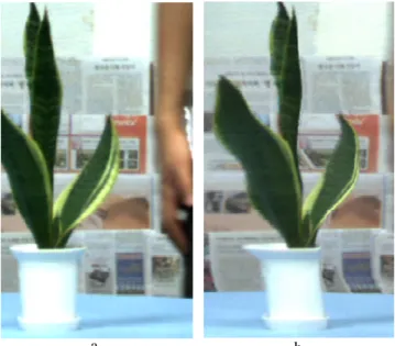 Figure  1:  Shifting/Resizing  artifacts.  The  shape  of  the  leaves, in this figure, is slightly modified (thinner or bigger)