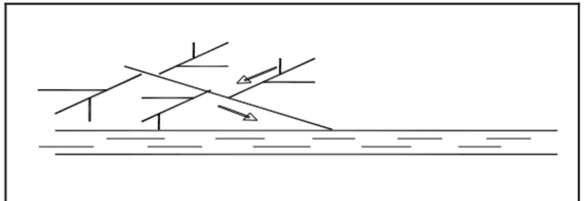 Figure II.4 : Schéma à Collecteur Transversal ou Oblique. 
