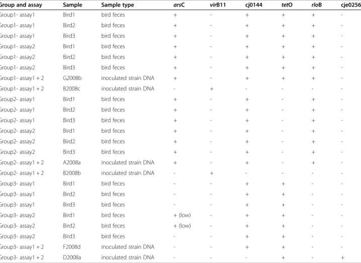 Table 3 Identification of the dominant Campylobacter jejuni strains in the in vivo chicken colonization competition assays by PCR detection of relevant genes