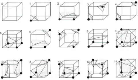 Tab. 2.4: The ways a surface can intersect a cube obtained by Lorensen and Cline in [23].