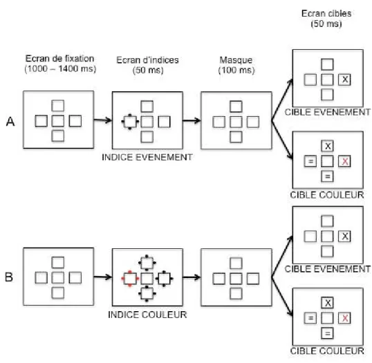 Figure  6.  Exemples de séquences d'écrans de la tâche d'indiçage spatiale utilisée par  Folk et al