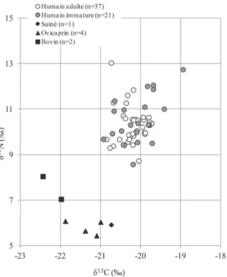 Fig. 2 – Stable isotope distribution of human and animal sub- sub-jects from Pontcharaud 2.