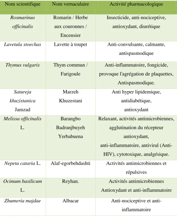 Tableau I : Quelques espèces d’intérêt pharmacologique de la famille des Lamiaceae  (Naghibi et al., 2005) 