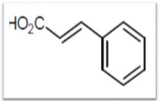 Figure 07 : Acide cinnamique (Gorham, 1977). 