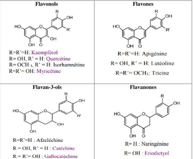 Tableau IV : Différents classes des flavonoïdes (Nkhili, 2009). 