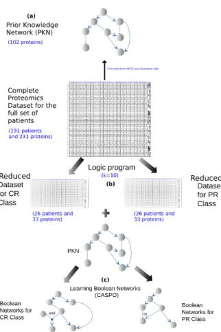 Fig. 4 Workflow of our method. (a) PKN construction. In this step we pass the proteins present in our DREAM 9 dataset as input to the Cytoscape plug-in Reactome FI to construct the PKN.