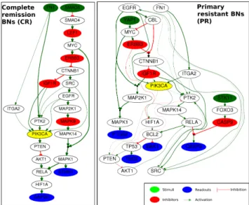 Fig. 5 Union of optimal BNs learned from the initial PKN and the reduced patients dataset from the complete remission (CR) and the primary resistant (PR) classes