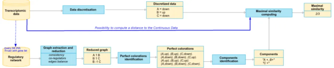 Fig. 1 Overview of the perfect coloring modeling framework. Blue boxes refer to processing steps and yellow boxes refer to input/output data.