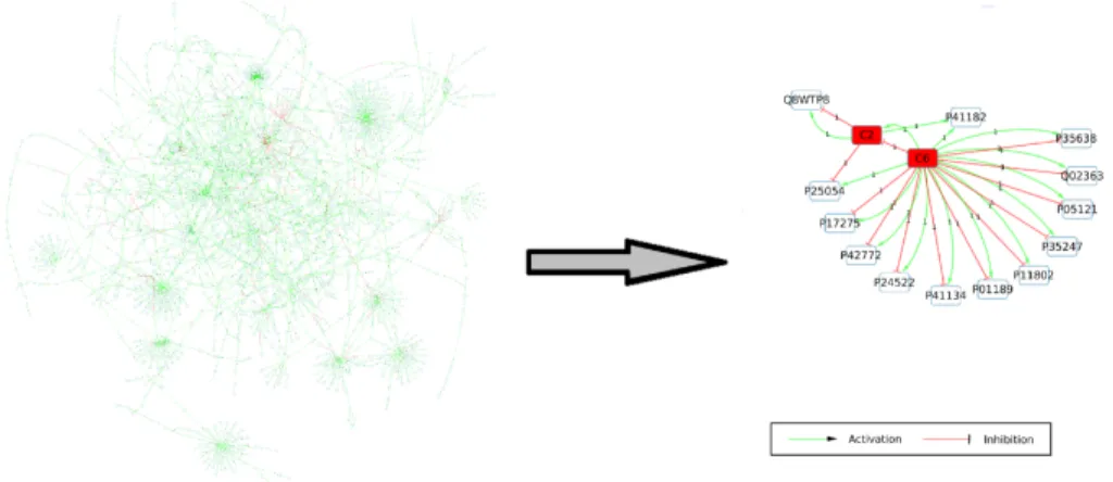 Fig. 2 Components identification by perfect coloring approach. Left: subgraph obtained from the PID-NCI database (2269 nodes, 2683 edges)