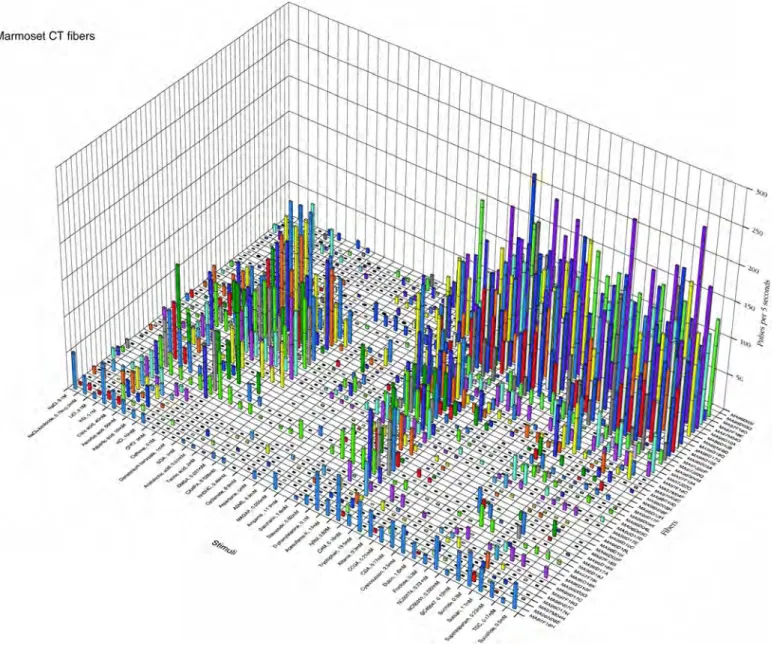 Figure 2. Intensité des réponses (hauteur des colonnes), selon les fréquences des décharges mesurées sur 5 secondes, dans des fibres isolées du  nerf de la gustation (chorda tympani) chez un primate non humain (Callithrix jacchus)