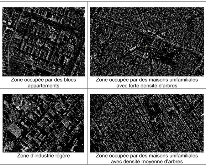 Figure 1.12 : Différentes zones du bâti, extraits d’une image TSX SpotLight de Montréal 