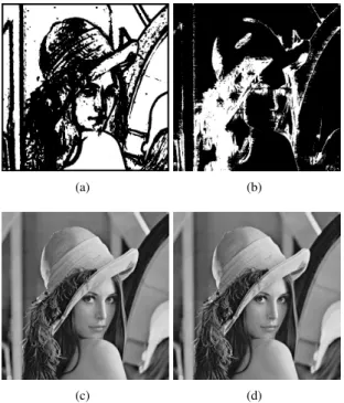Figure 2. The two computed binary masks, i.e smooth areas, M S (a), and textures M T (b) along with the corresponding marked images (c) and (d).