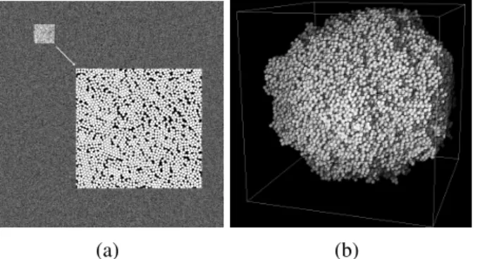 Fig. 5: Illustration of simulations using the fast scheme (β = 0.45, α = 2β ). (a) simulation of 200000 disks of radius 10 pixels, image size is 10000 2 