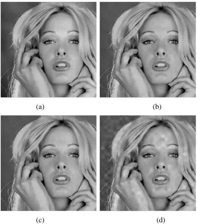 Fig. 2 (a): Image watermarked using the “Koch” algorithm [6] (PSNR = 25.8 dB). (b): image watermarked using the “Kim” algorithm  [5] (PSNR = 45.25 dB)