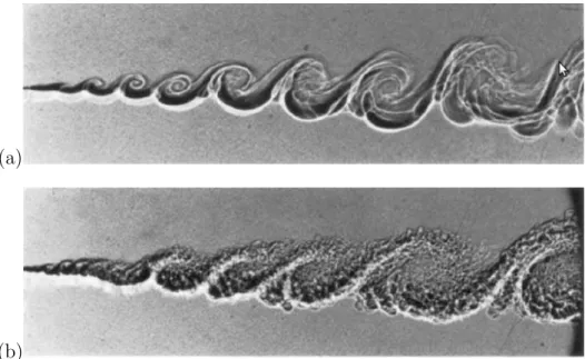 Figure I.8 – Schlieren visualisations of two-dimensional mixing layers of helium (upper stream) and nitrogen (lower stream)