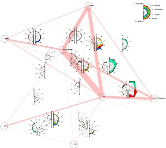 Figure 2.22 – Exemple du SV de Pinzger et al. [59]. 