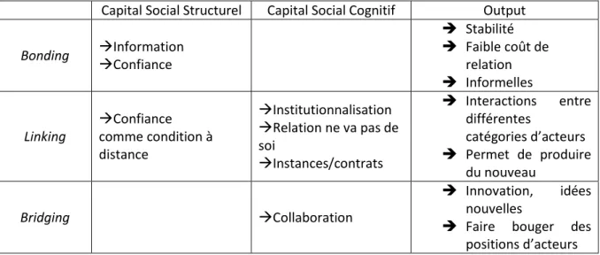 Tableau 2: Synthèse des composantes et effets des différents types de capital social 