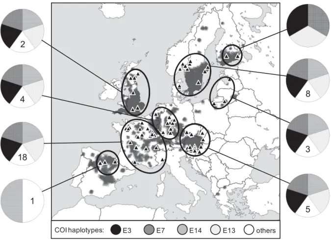 Fig. 1 Distribution of Pacifastacus leniusculus in Europe (compiled from Candiotto et al