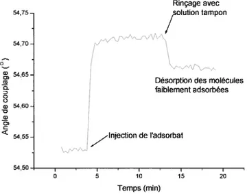 Figure 1.10 Mesure de cinétique d’adsorption d’un polyélectrolyte par SPR.