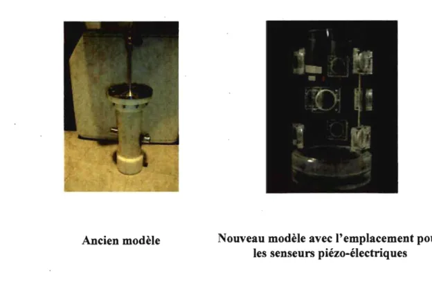 Fig.  2-11  : Représentation des différents modèles de contenants des détecteurs PICASSO
