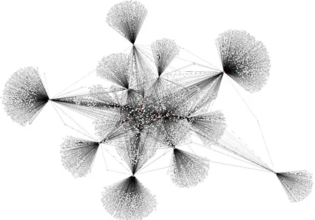 Figure 2 – Visualisation du réseau construit à partir des données Facebook 