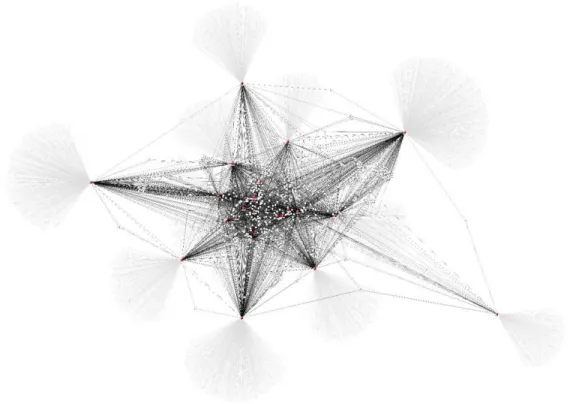 Figure 3 – Visualisation du réseau élagué des données Facebook 