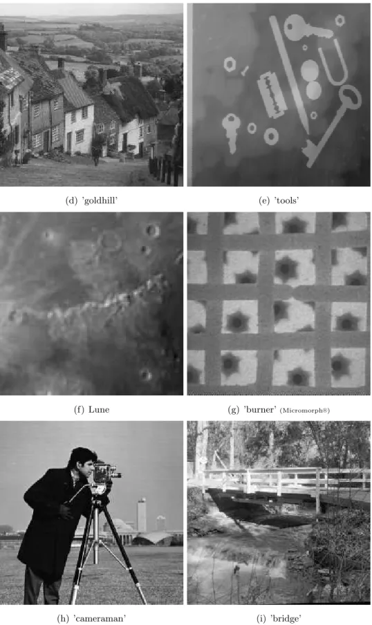 FIGURE 2.1 – Images diverses.