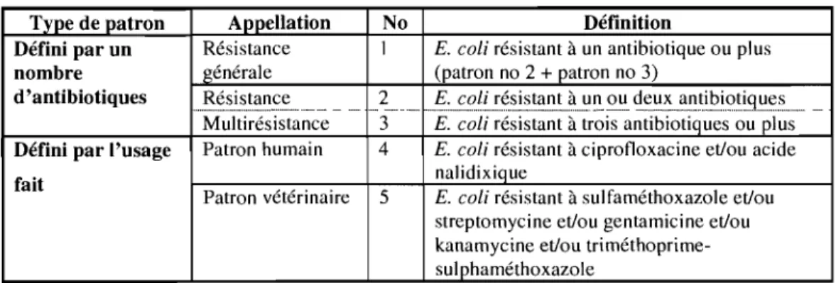Tableau IV  : Définitions des patrons de résistance antimicrobienne de E.  coli 