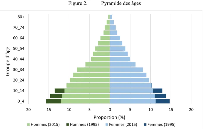 Figure 2.  Pyramide des âges 
