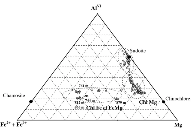 Figure 2. 15 : Projection des analyses de chlorites dans un diagramme triangulaire dont les pôles correspondent  aux cations octaédriques