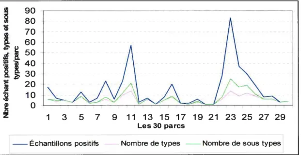 Figure 3 : Nombre d’échantillons positifs pour E. cou 0157, de pulsetypes et de sous-pulsetypes d’E