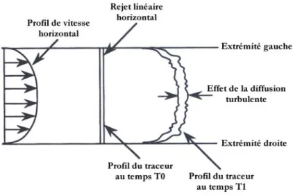 Figure 1.1 : Influence du profil horizontal surfacique des champs de vitesses sur la dispersion  d’un polluant dans une rivière